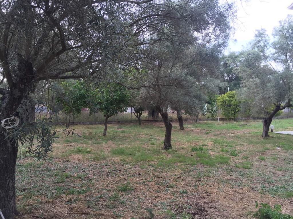 Sapfo Studios Lefkada Town Luaran gambar